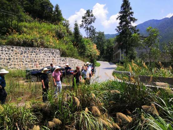 f5b3e95a6ad10ee9b4ef3b193f02aa5